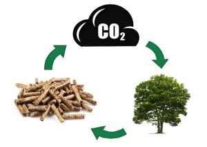 What is the significance of biomass energy?