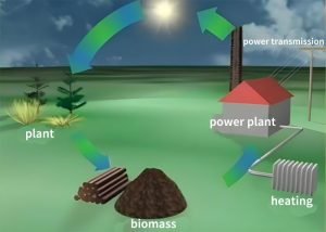What is the Future Prospect of Biomass Energy?