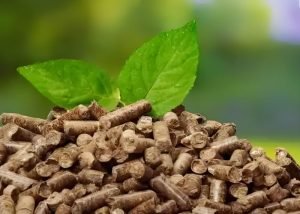 How is the biomass energy market?