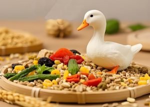 What Is The Best Feed For Ducks?