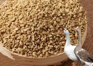 What Exactly Are Goose Feed Pellets Used For?