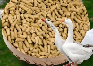 Is there a difference in the types of goose feed?