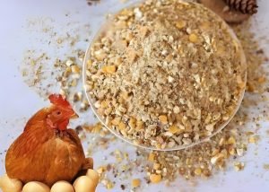 What is the best chicken feed formula?