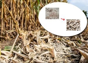 Agricultural Waste Pellets Production