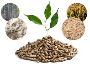 Thailand’s biomass resources and biomass ...