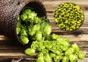 Make hops pellets for Craft Brewery