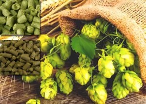 A good hop pellet factory