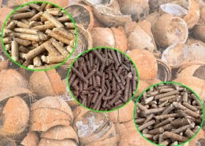 How to Build a Coconut Shell Pellet Plant in 2025?