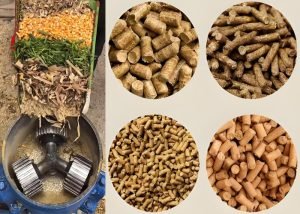 How to make poultry animal feed: plans and tips